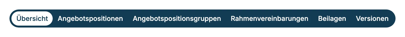Reiter Übersicht, Angebotspositionen, Angebotspositionsgruppen, Rahmenvereinbarungen, Beilagen, Versionen