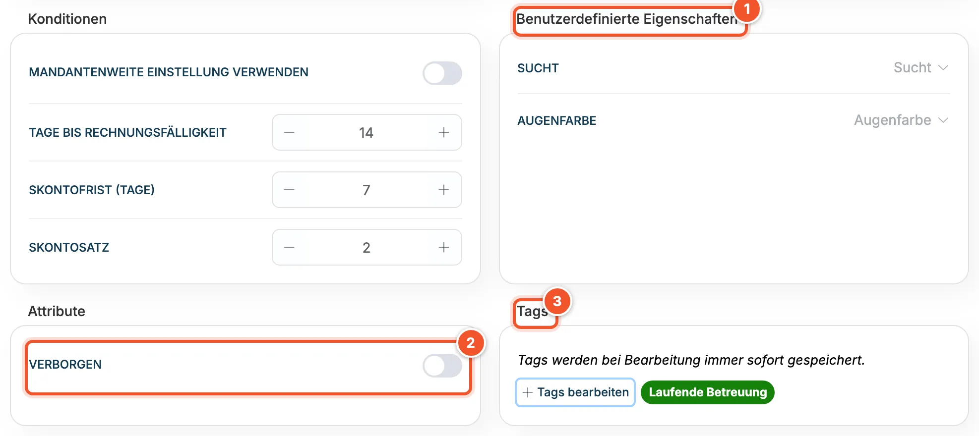 Unterer Teil der Kundenakte mit Konditionen, Benutzerdefinierten Eigenschaften, Attribut Verborgen und Tags